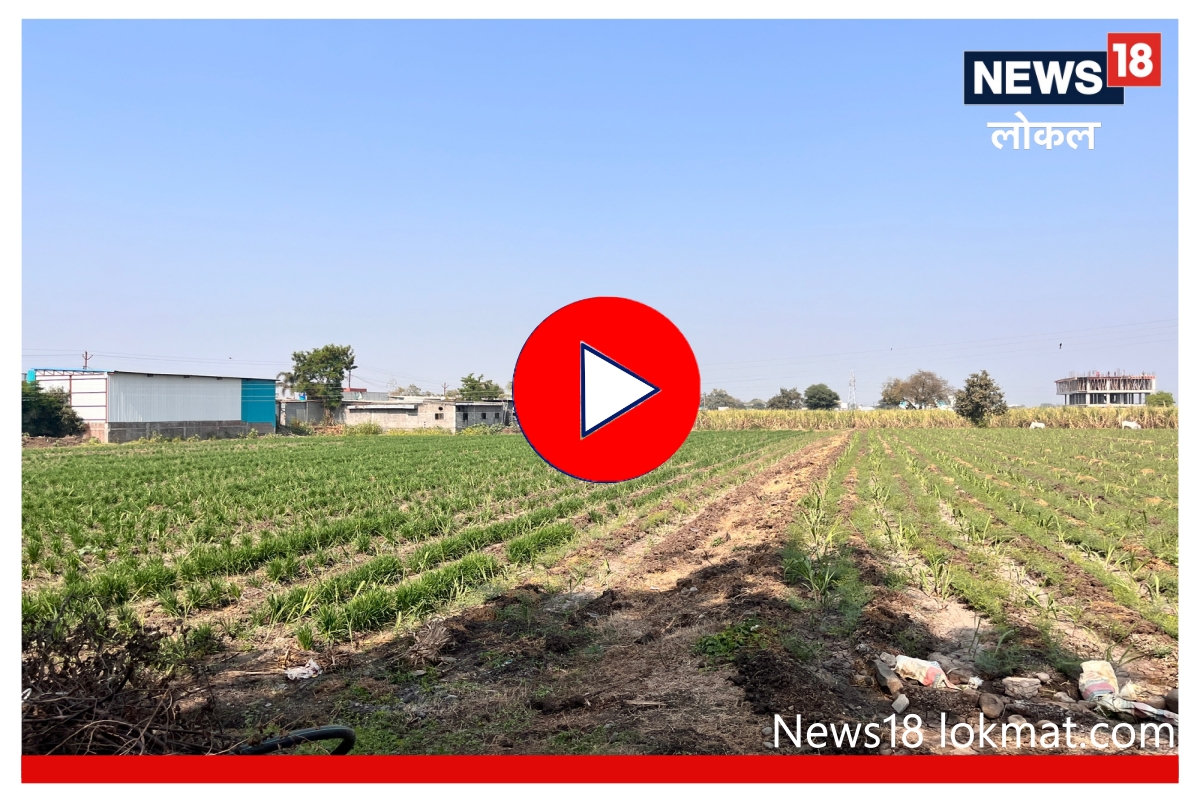 Land prices increased beed