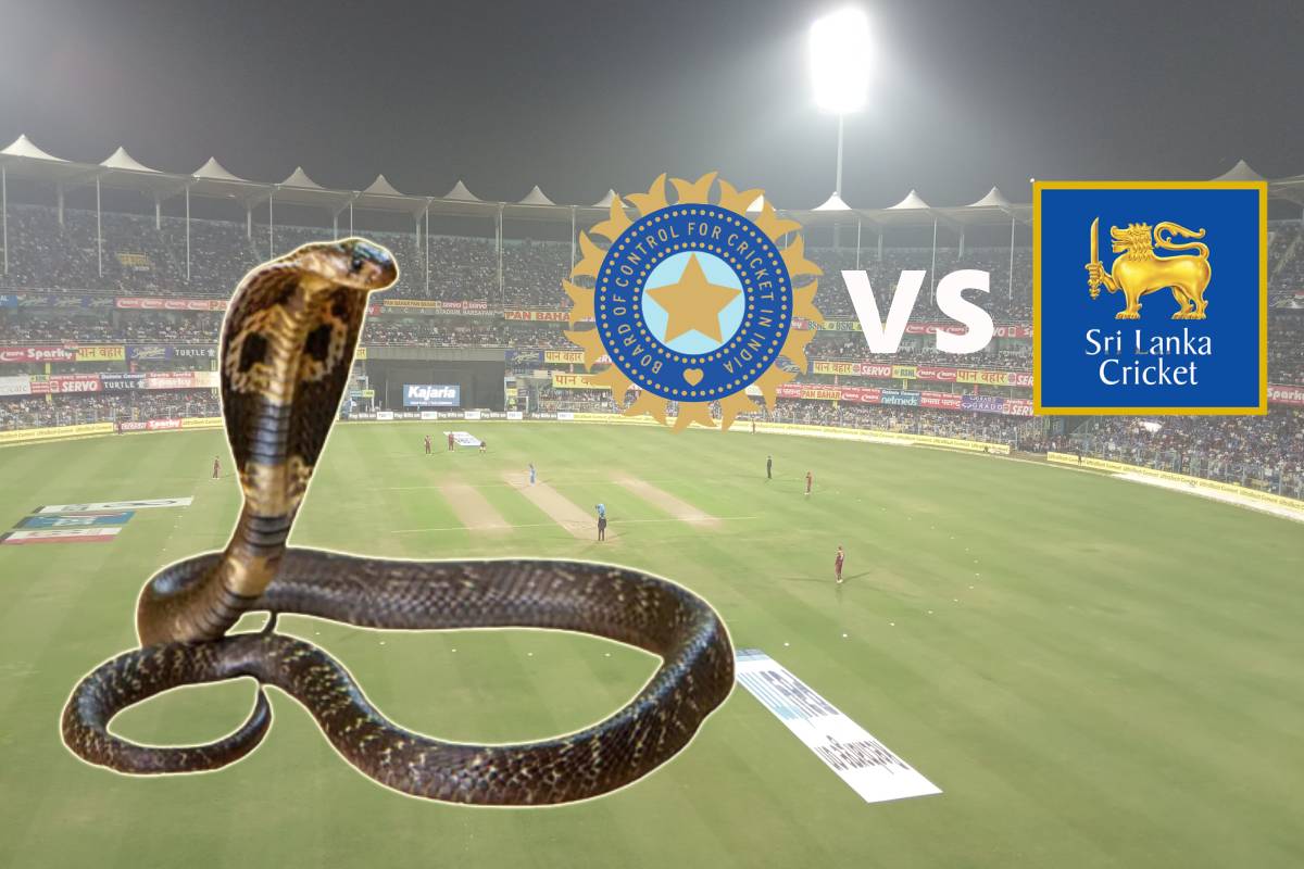 गुवाहाटीच्या स्टेडियमवर आता सापांना नो एंट्री! क्रिकेट असोसिएशनने घेतली 'ही' दक्षता