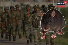 आता 'उंदीर' सैन्यात दाखल होणार! DRDO चा हा प्रोजेक्ट शत्रूंसाठी ठरणार काळ आता 'उंदीर' सैन्यात दाखल होणार! DRDO चा हा प्रोजेक्ट शत्रूंसाठी ठरणार काळ