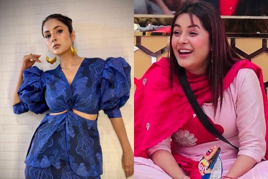 [object Object], शेहनाजचा जन्म 27 जानेवारी 1993रोजी झाला. तिला लहानपणापासून अभिनेत्री व्हायचं होतं.