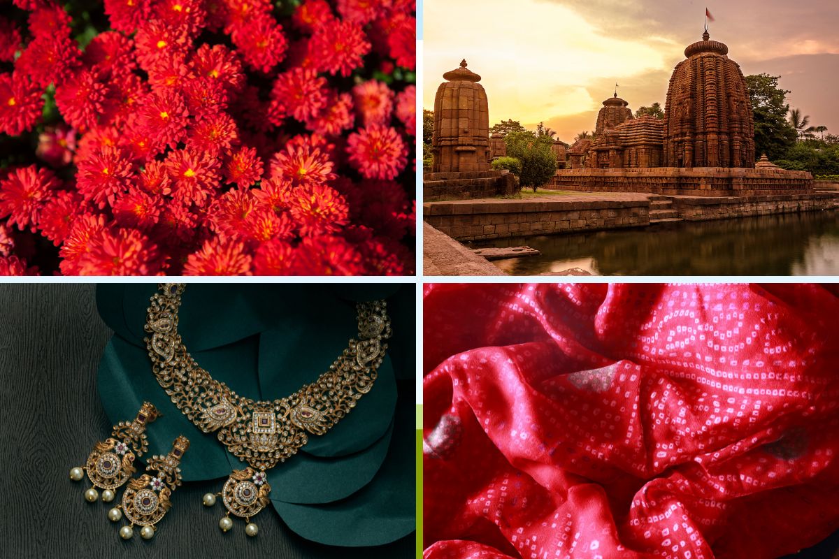 स्वप्नात या रंगाचे फूल दिसणे आहेत शुभसंकेत ! घरात येईल पैसा, सुख समृद्धी