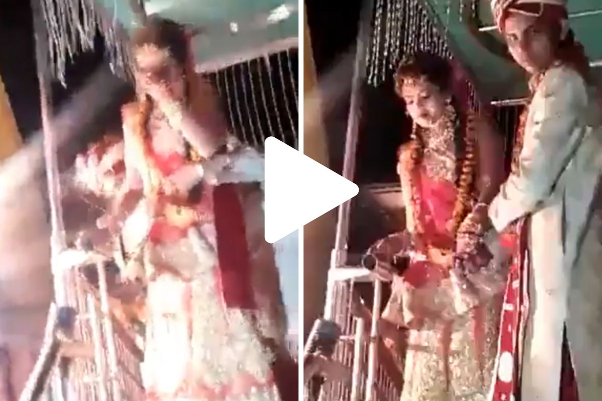 व्हायरल व्हिडीओ