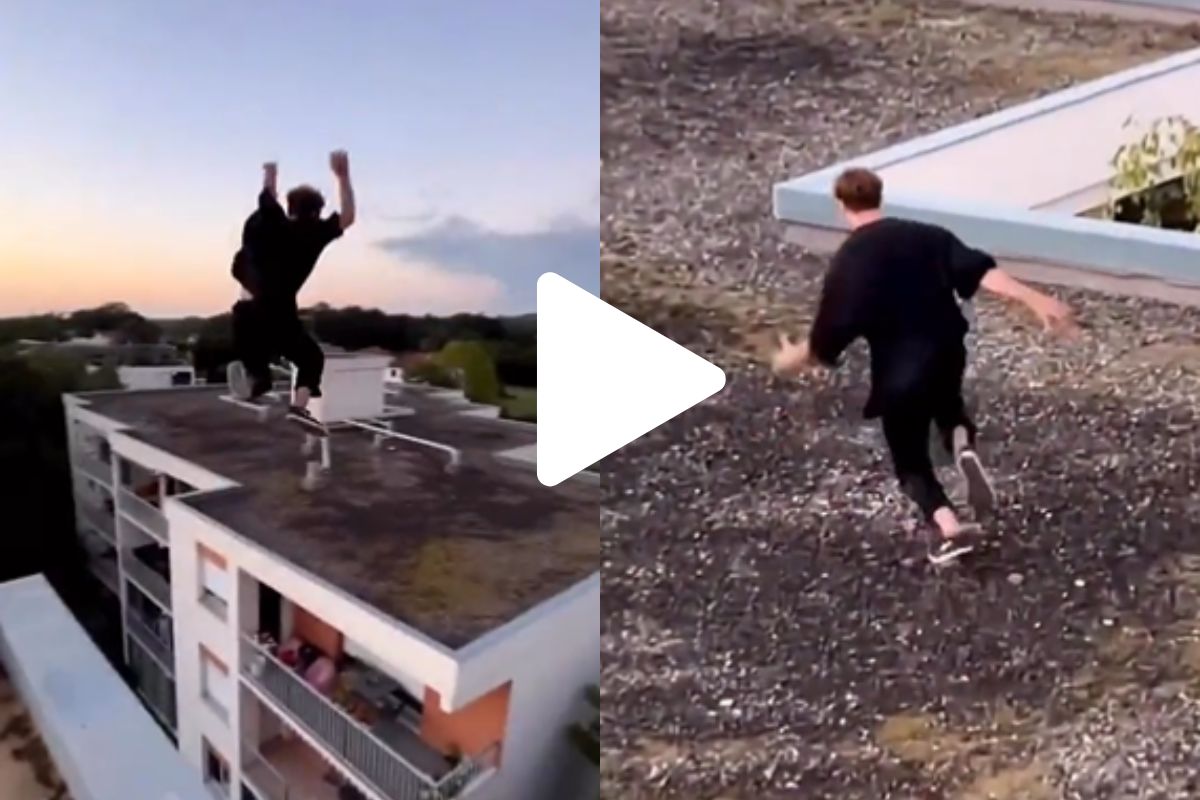 व्हायरल व्हिडीओ