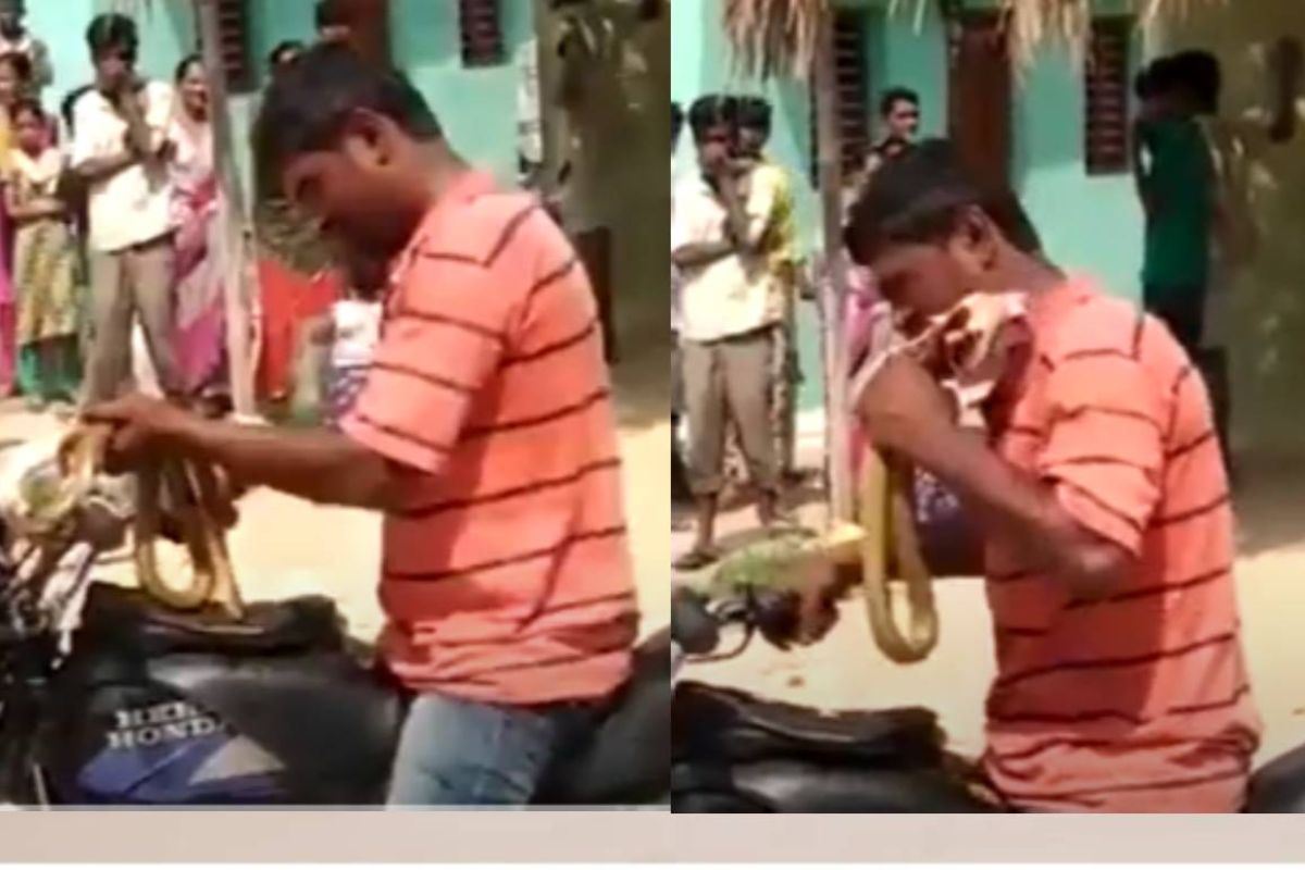 गाडीवर बसून व्यक्तीनं कचाकचा चावून खाल्ला जिवंत साप; पुढं जे झालं ते थरकाप उडवणारं, Shocking Video