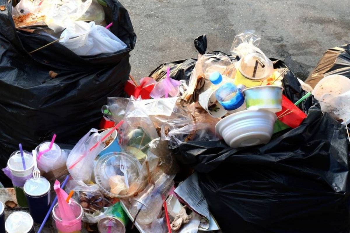 ज्याला तुम्ही कचरा समजून फेकता 'त्या' वस्तूची अॅमेझॉनवर हजारो रुपयांना विक्री, फोटो बघून व्हाल चकित