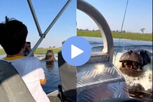 संतप्त पाणघोड्याचा पर्यटकांच्या बोटीवर हल्ला, व्हिडीओ पाहून अंगावर येईल काटा