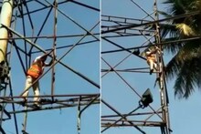 स्वतःचा जीव धोक्यात घालून पोलीस कर्मचाऱ्याने कबुतराला वाचवलं