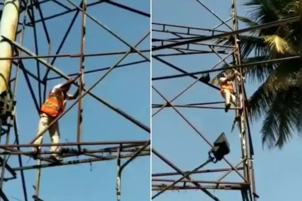 व्हायरल