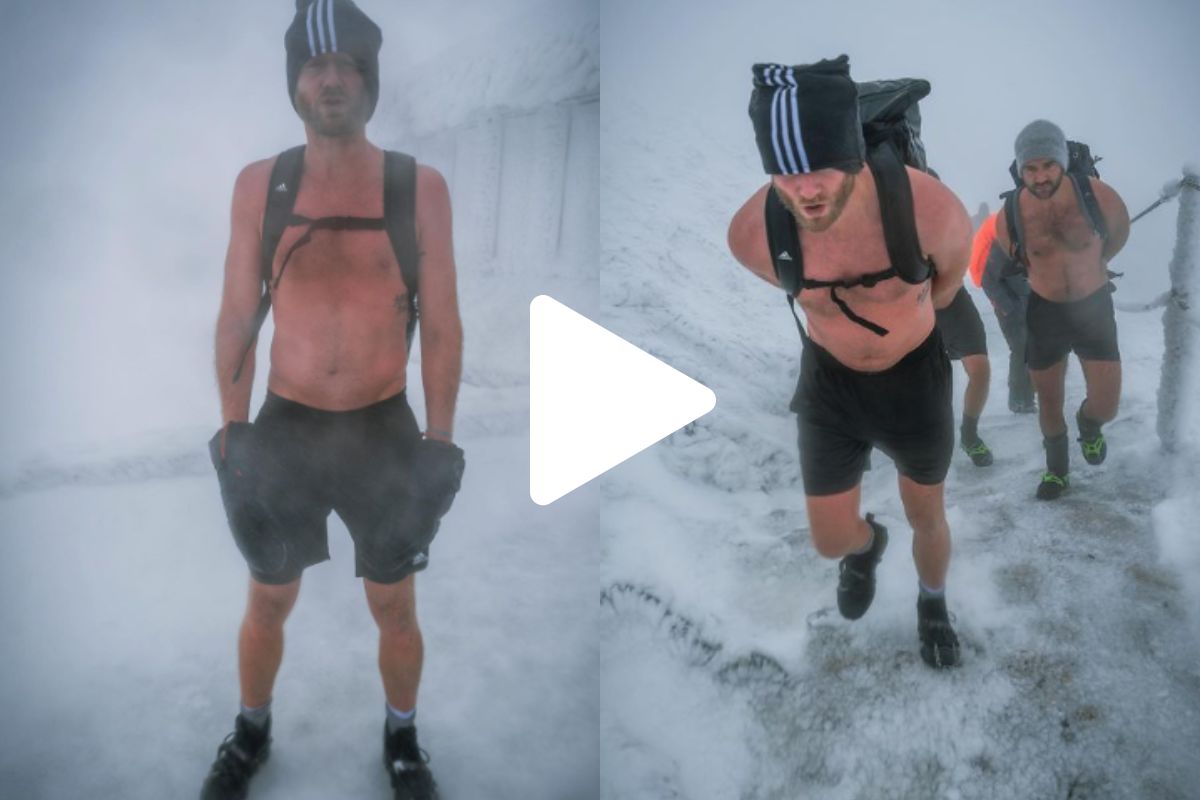 व्हायरल व्हिडीओ