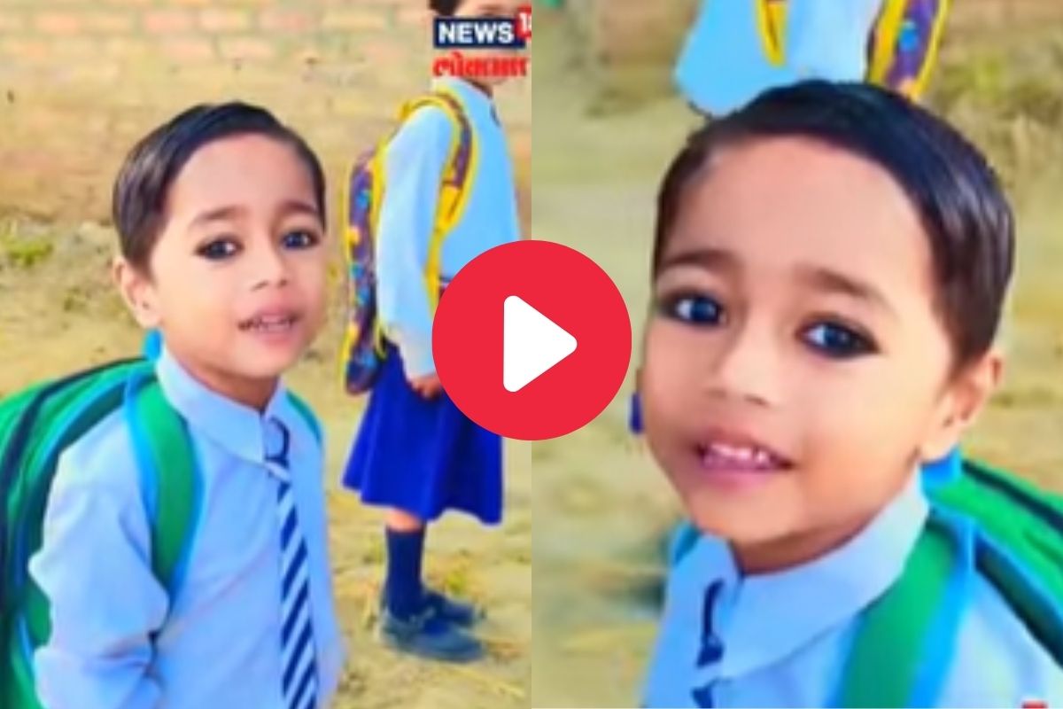 व्हायरल व्हिडीओ