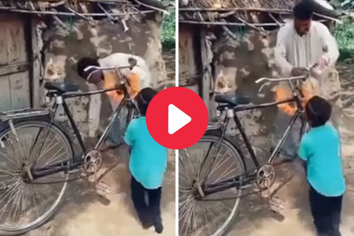 व्हायरल व्हिडीओ