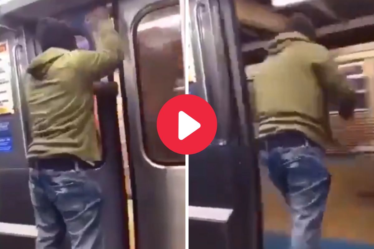 व्हायरल व्हिडीओ