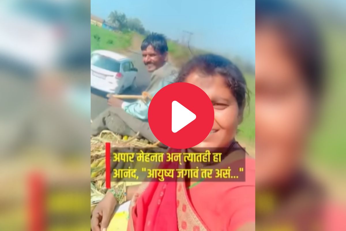 व्हायरल व्हिडीओ