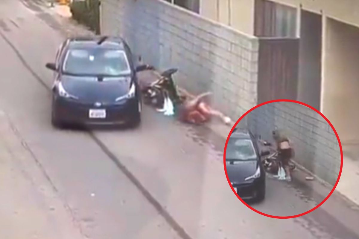 व्हायरल व्हिडीओ