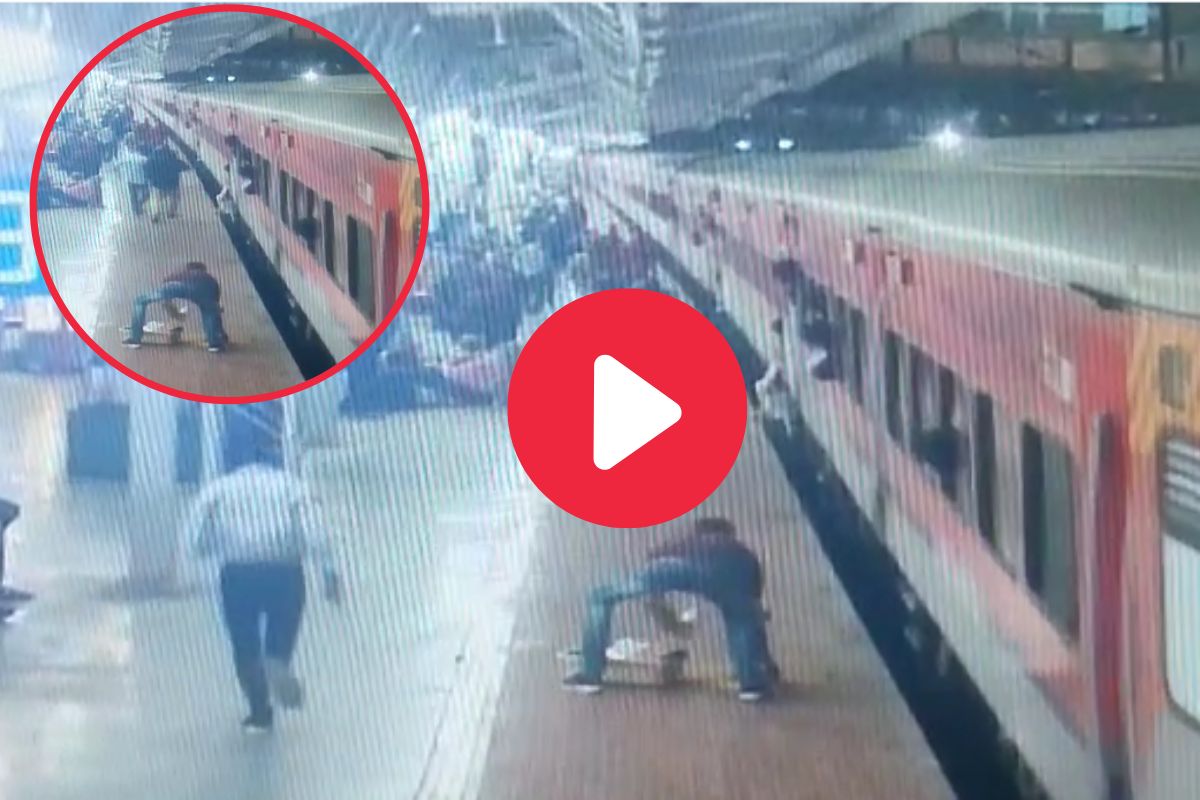 व्हायरल व्हिडीओ