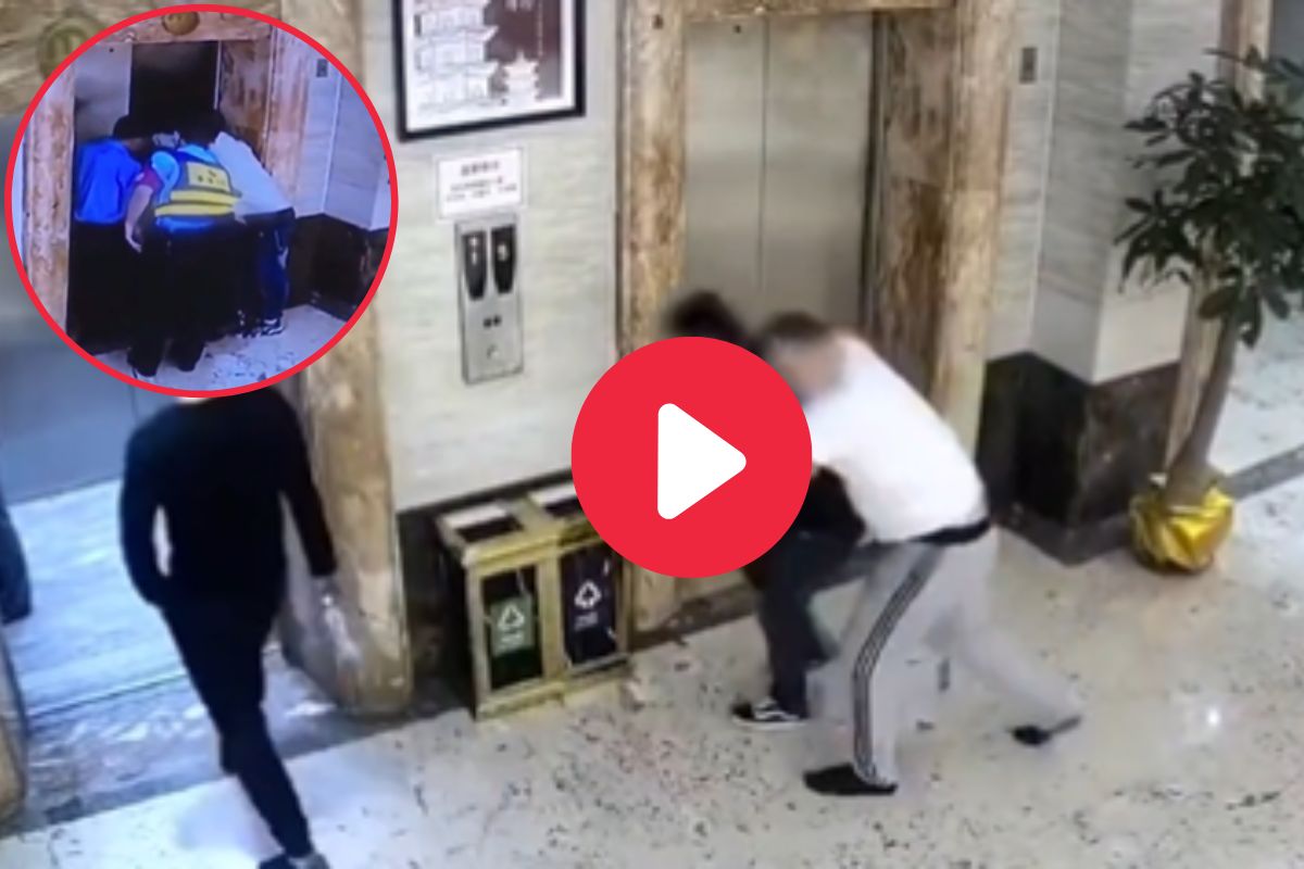 व्हायरल व्हिडीओ