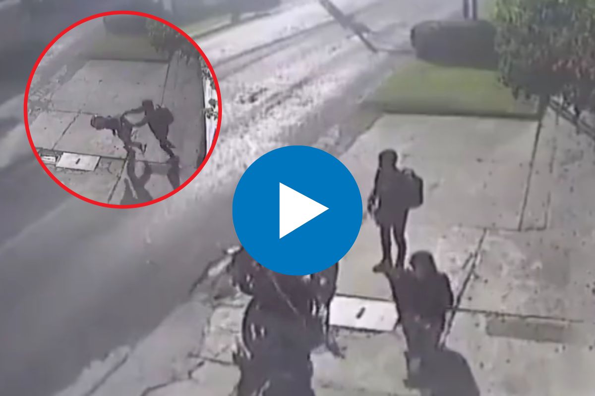 व्हायरल व्हिडीओ