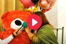 टेडी बेअरच्या प्रेमात पडली महिला; अनोख्या Love Story ची सर्वत्र चर्चा