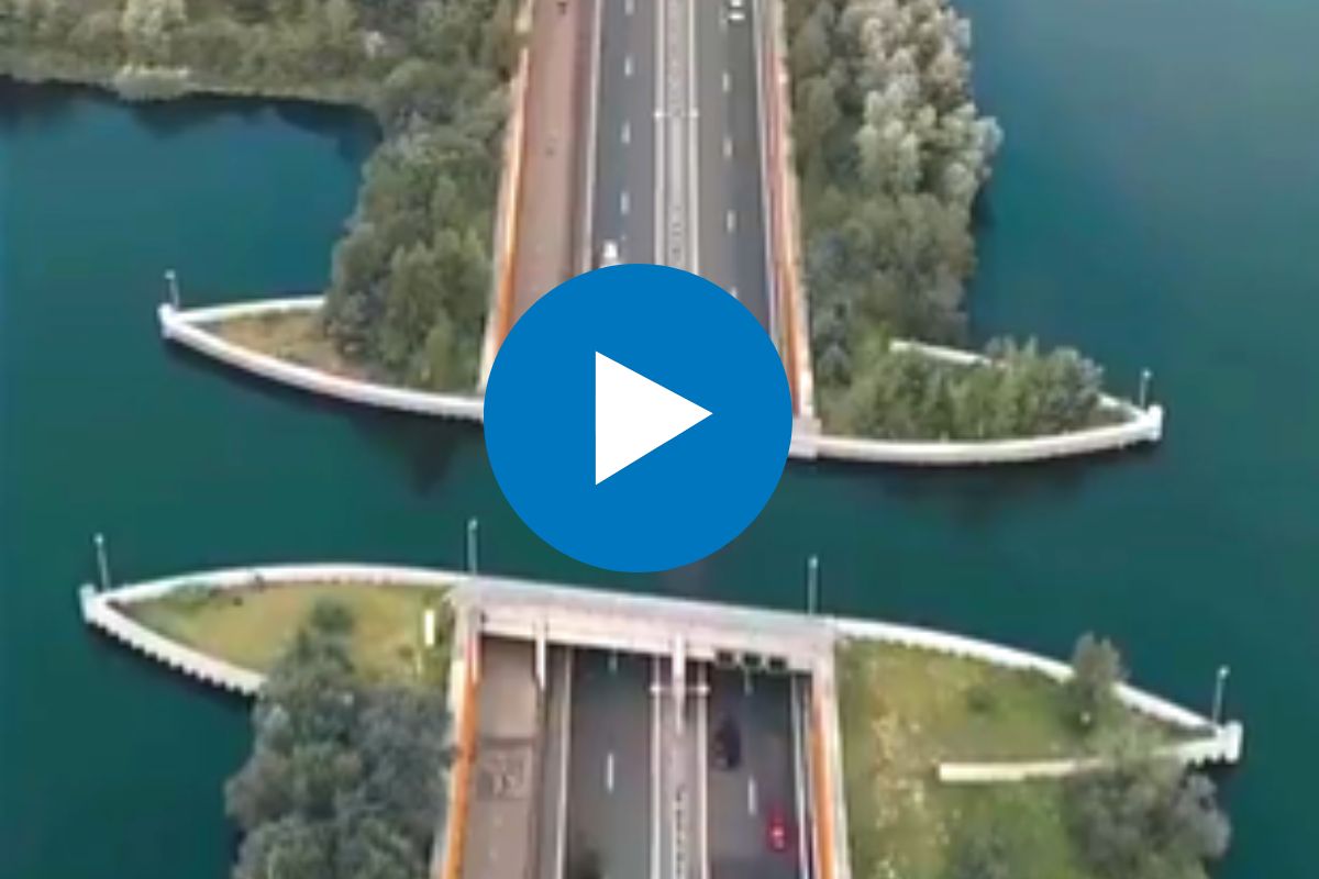 व्हायरल