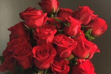 प्रेम व्यक्त करण्यासाठी लाल गुलाबच का देतात? जाणून घ्या लाल रंगाचा आणि प्रेमाचा संबंध