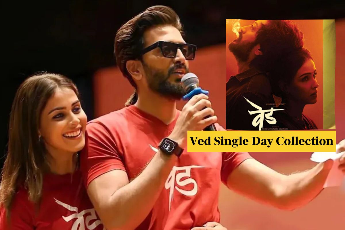 वेड सिंगल डे कलेक्शन