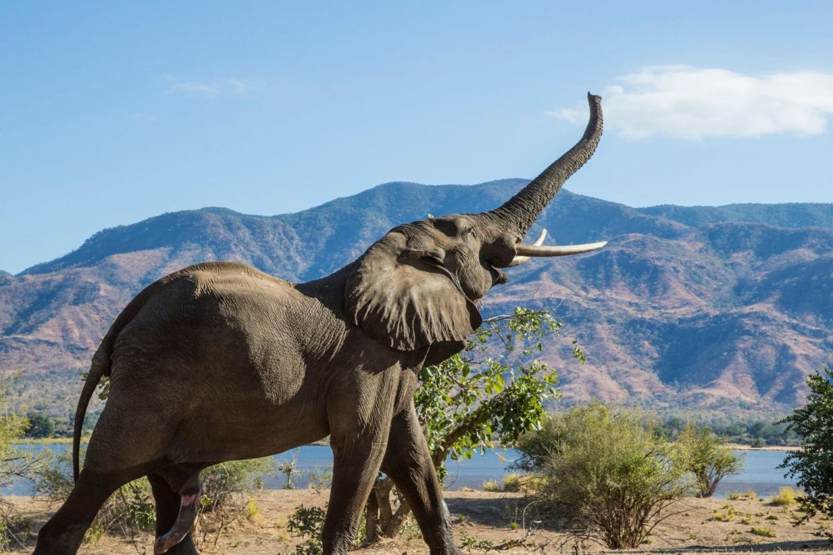 फोटो सौजन्य - Canva