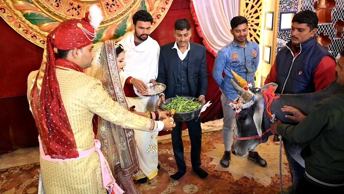 एकंदर या लग्नात भारतीय संस्कृतीची झलक पाहायला मिळाली. इतर लग्नांपेक्षा खरंच सुंदर असा हा विवाहसोहळा आहे.