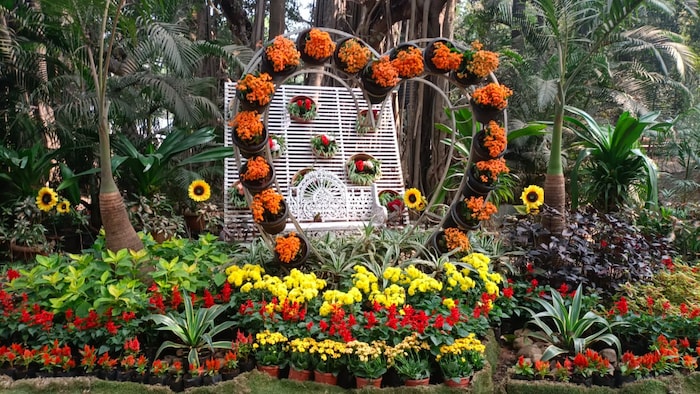 यावर्षी जपानी पद्धतीने साकारलेल्या विविध पुष्परचना तसेच बोन्साई वृक्षांचे विविध प्रकार या ठिकाणी पुणेकरांना पाहता येतील.