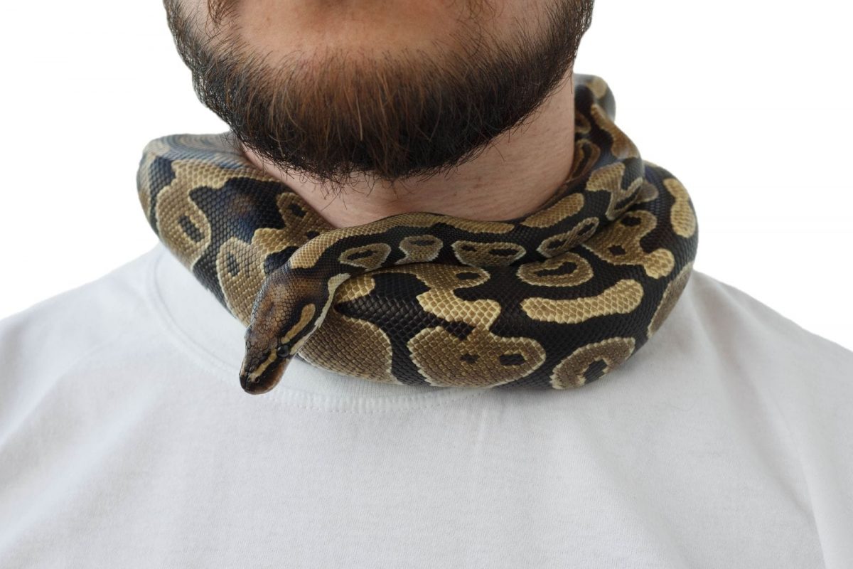 प्रतीकात्मक फोटो (सौजन्य - Canva)