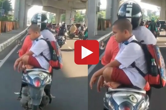 व्हायरल व्हिडीओ