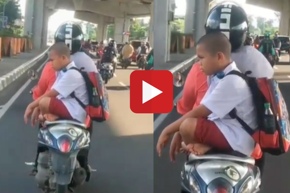 व्हायरल व्हिडीओ