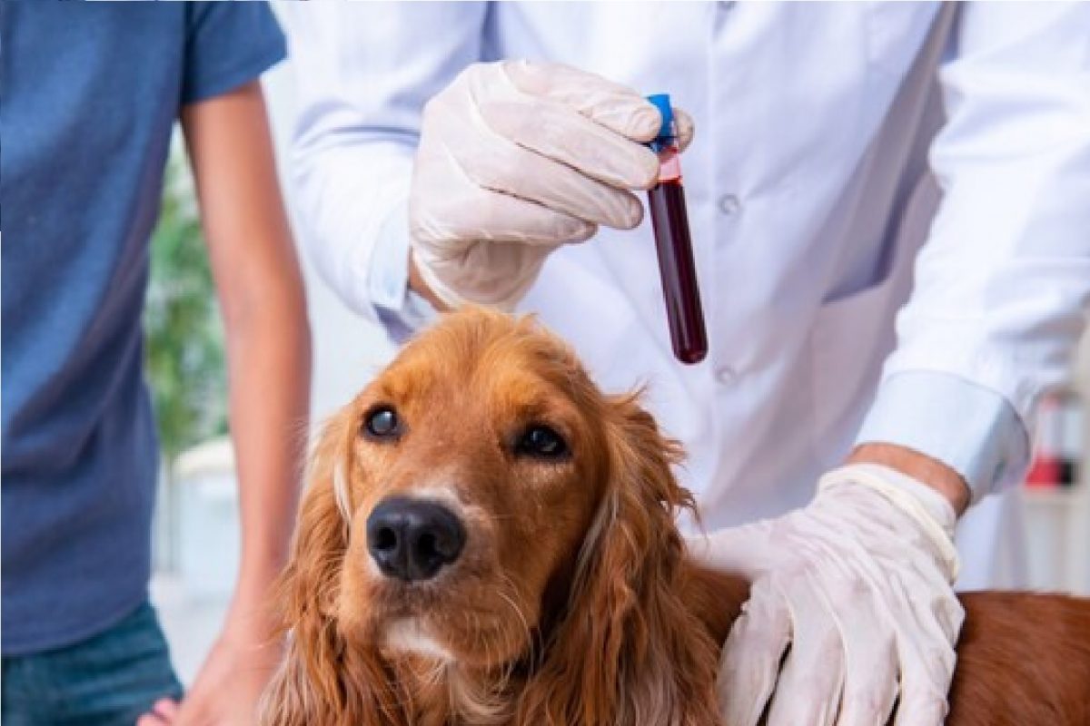 प्रतीकात्मक फोटो