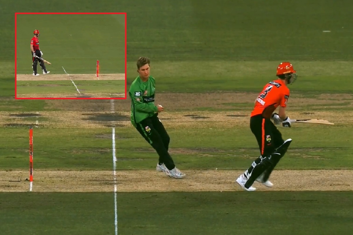 BBLमध्ये वाद संपेनात, एडम झाम्पाने केलं होतं मांकडिंग पण फलंदाज नाबाद; पाहा VIDEO