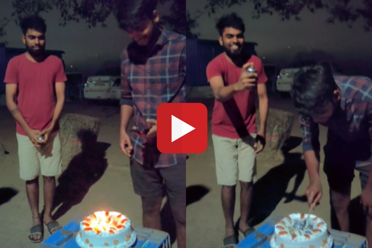 व्हायरल व्हिडीओ