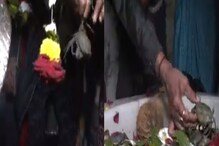 VIDEO - धोतराचं फूल-बेलपत्राऐवजी महादेवाला चक्क जिवंत खेकडे अर्पण; खास आहे कारण