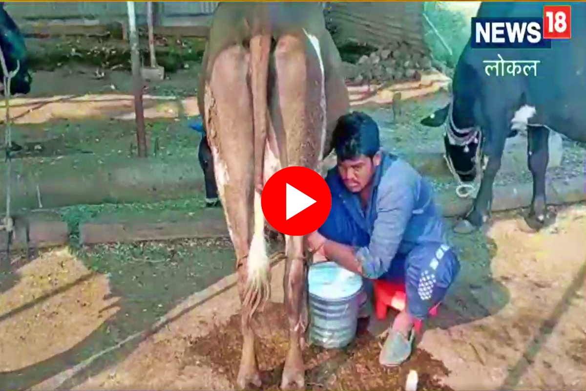 dairy business success Story