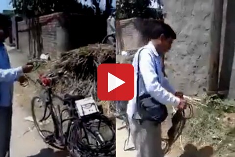 व्हायरल व्हिडीओ