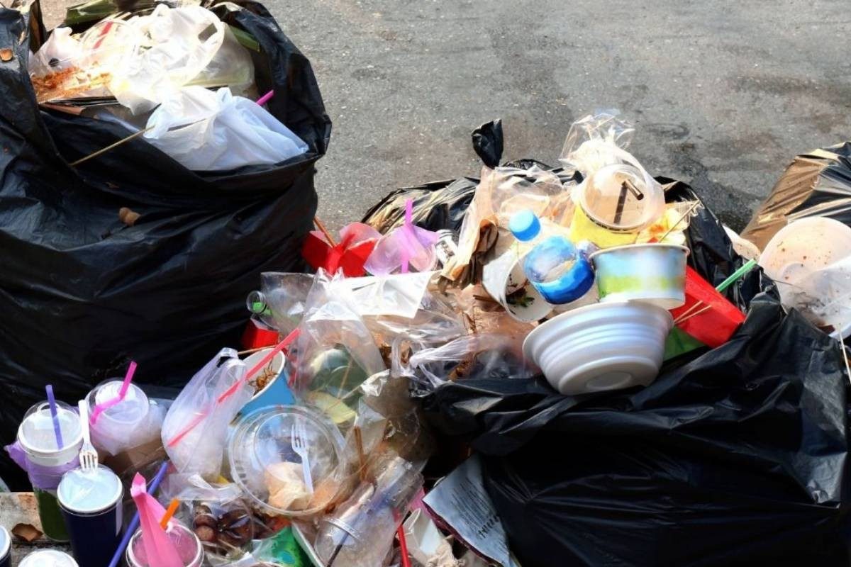 आपण कचऱ्यात फेकतो त्याचीच Amazon वर हजाराला विक्री! वस्तू पाहून व्हाल हैराण!