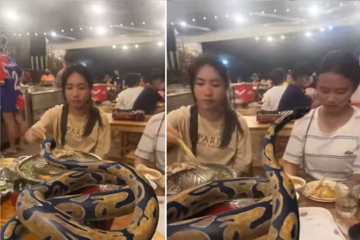 अजगरासोबत तरुणी