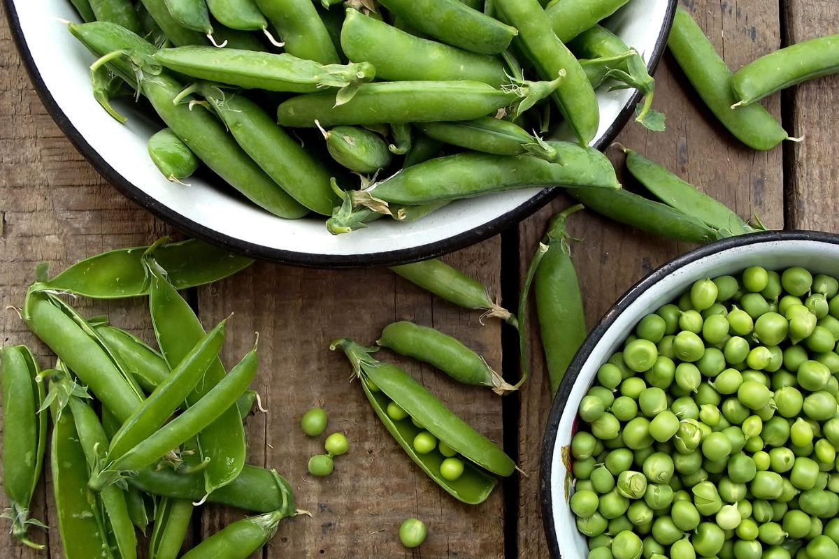 प्रतिकात्मक फोटो