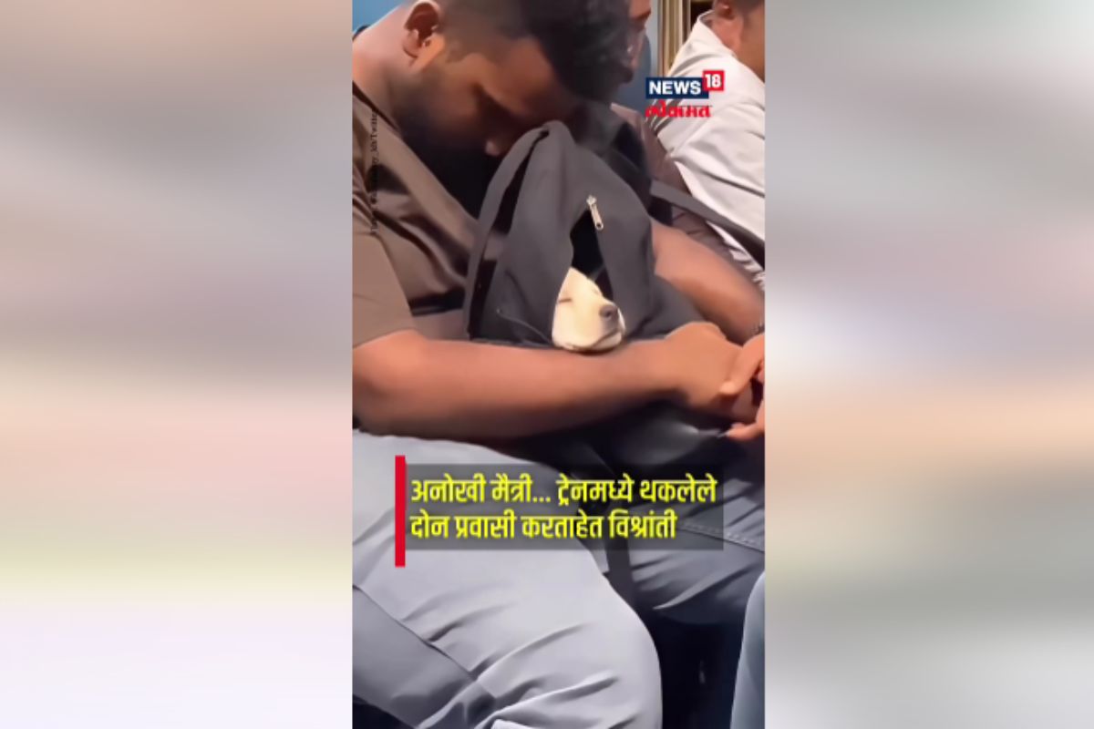 अनोखी मैत्री, ट्रेनमध्ये थकलेले दोन प्रवासी करताएत विश्रांती VIDEO