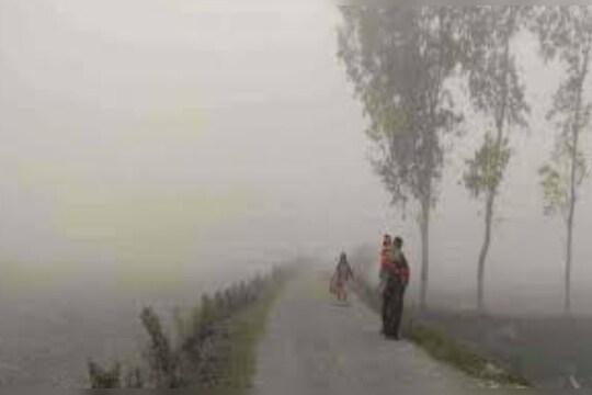 Jalgaon Weather Update : जळगाव झाले 'थंड'गाव, सर्वात निच्चांकी तापमान असूनही गारठा आणखी वाढणार
