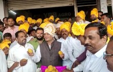 कोल्हापूरकरांचा नाद खुळा, खासदार महाडिकांनी 51 हजारांना घेतली हापूसची पहिली पेटी