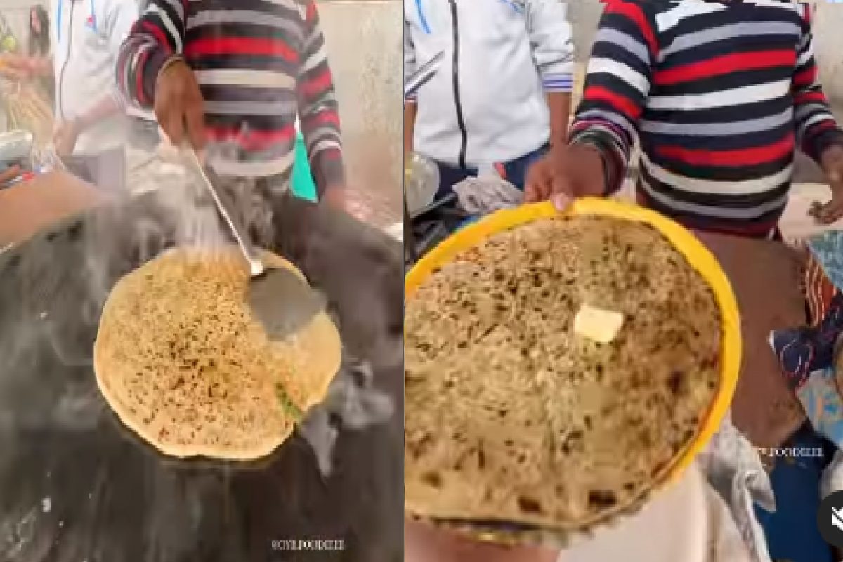 तुम्ही खाणार हा पराठा?