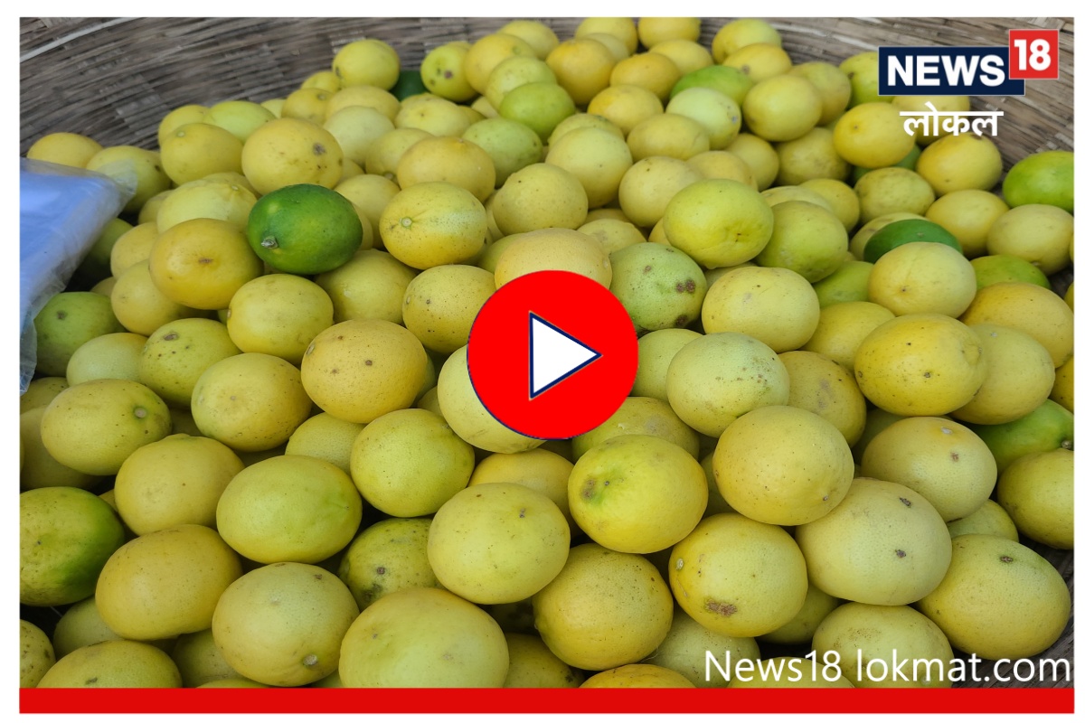 Video : कोरोनाच्या भीतीनं वाढले लिंबाचे दर? पाहा Ground Report