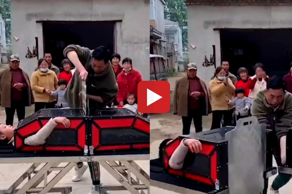 व्हायरल व्हिडीओ