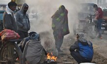 विदर्भाचा पारा घसरला; दोघांचा मृत्यू तर मुंबई, पुण्यातही गारठा वाढणार विदर्भाचा पारा घसरला; दोघांचा मृत्यू तर मुंबई, पुण्यातही गारठा वाढणार