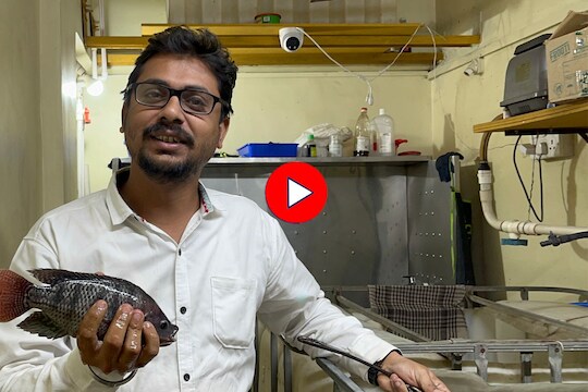 'त्या' घटनेनंतर सिव्हिल इंजिनिअरनं बदलली लाईन, कल्याणला पुरवतो फ्रेश मासे, Video