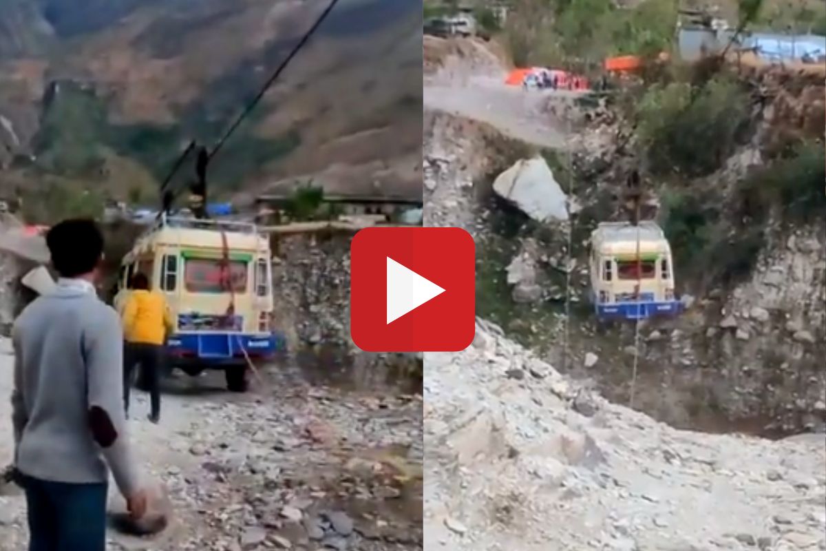 व्हायरल व्हिडीओ