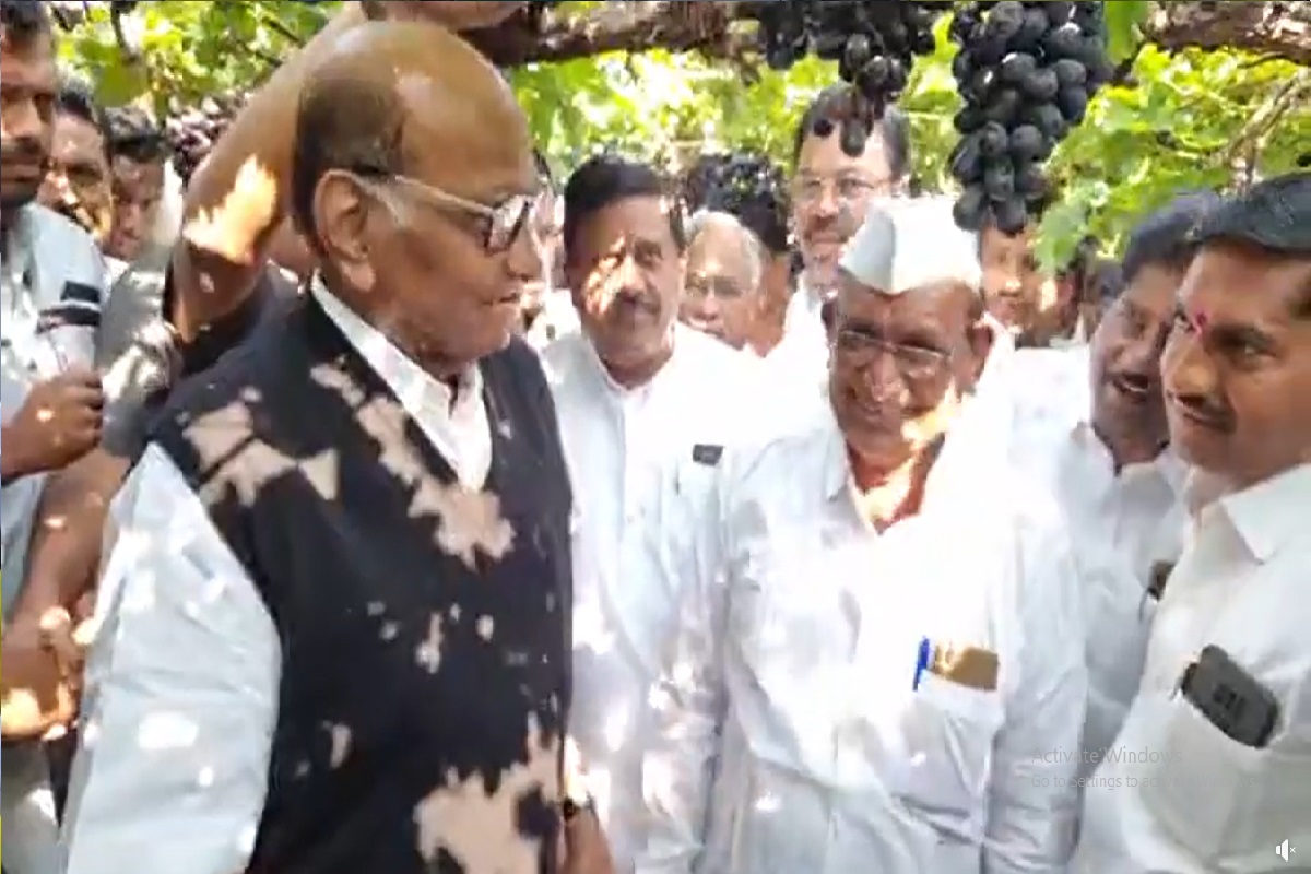 . इंदापूर तालुक्यातील बोरी आणि कळस या गावांना पवार यांनी भेटी दिल्या. यावेळी द्राक्ष उत्पादक शेतकऱ्यांच्या बांधावर जाऊन शरद पवार पाहणी केली.